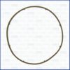  01163000 Gasket, water pump